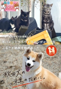 【受付開始！】犬猫の殺処分ゼロを目指して、クラウドファンディング型ふるさと納税を始めました