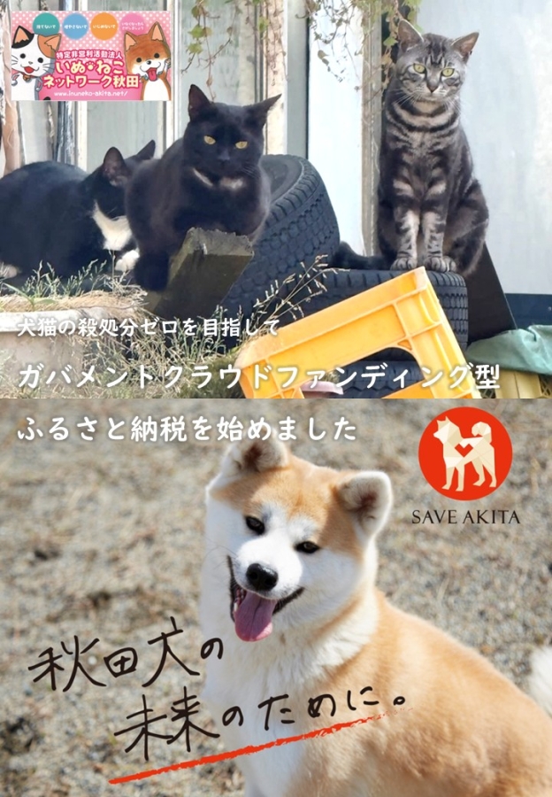 【受付開始！】犬猫の殺処分ゼロを目指して、クラウドファンディング型ふるさと納税を始めました