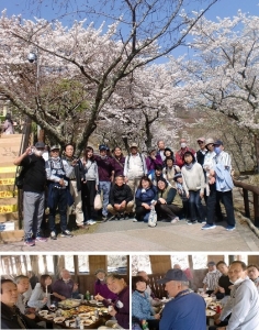 妙見山で桜見ながらバーベキュー！