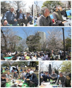 飛鳥山で花見の宴開催