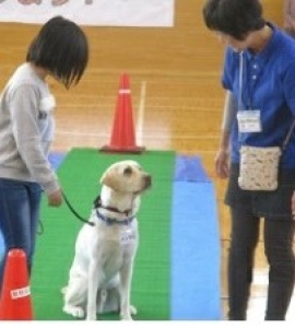 動物愛護支援への寄付について　～秋田県生活衛生課からのお知らせ～