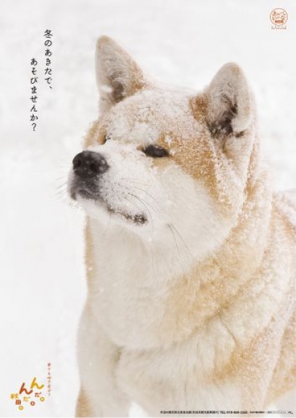 県人会・秋田応援団のみなさんへ