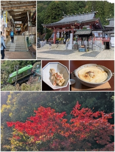 秋高連主催秋の交流ミニハイクで大山詣り