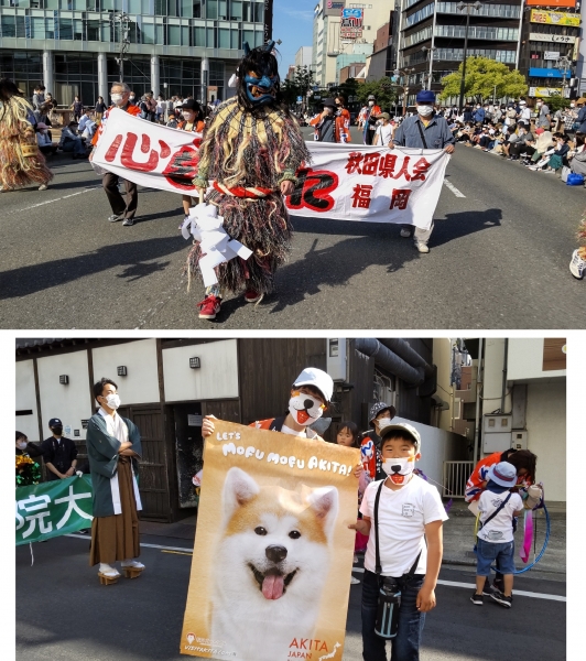 福岡・秋田県人会、博多どんたくパレード、3年振り開催に参加