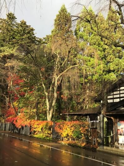 メインビジュアル