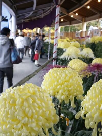 メインビジュアル