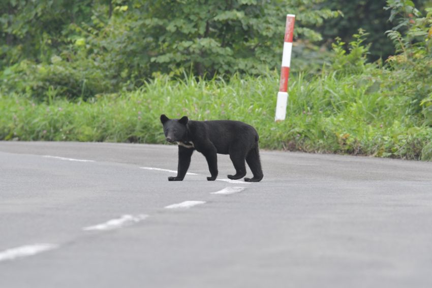 ふるさと納税の寄附の受付を開始しました～県民の安全安心を確保する
