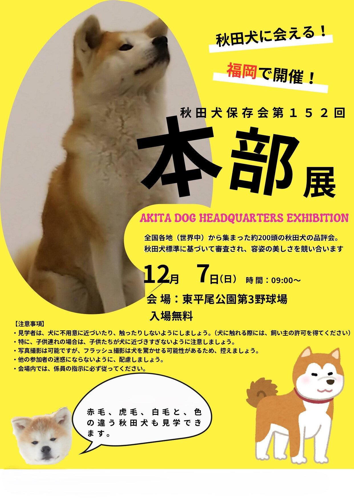 犬走 いぬばしり NO.0〜12（3と11は無し） 2025年12月、福岡市で秋田犬・全国本部展 | 県人会からのお知らせ