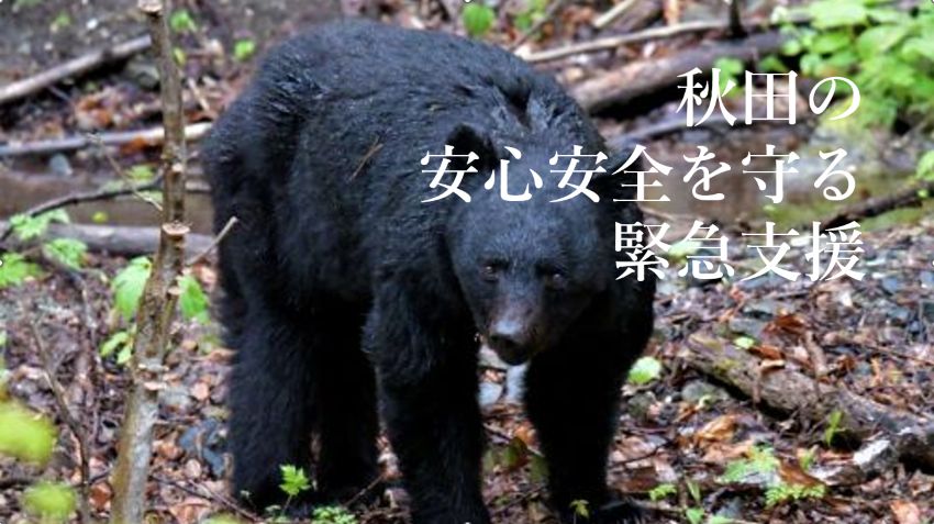 ふるさと納税の寄附の受付を開始しました～県民の安全安心を確保する