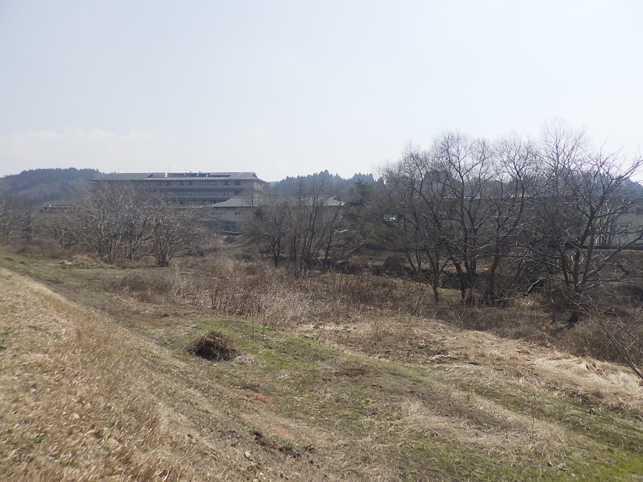 風景