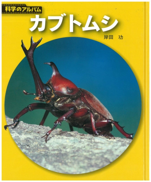 科学のアルバム カブトムシ | いっしょにねっと。