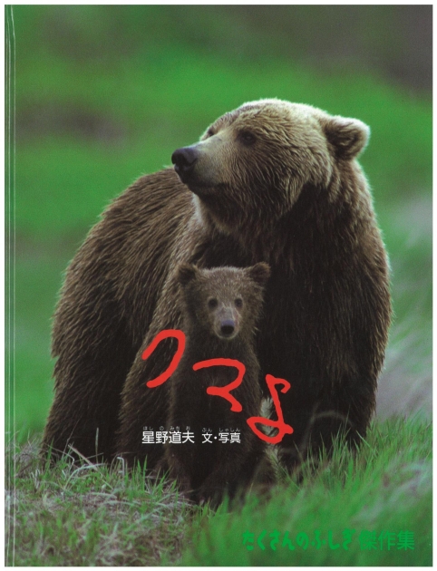 星野道夫 シロクマ親子ポスター