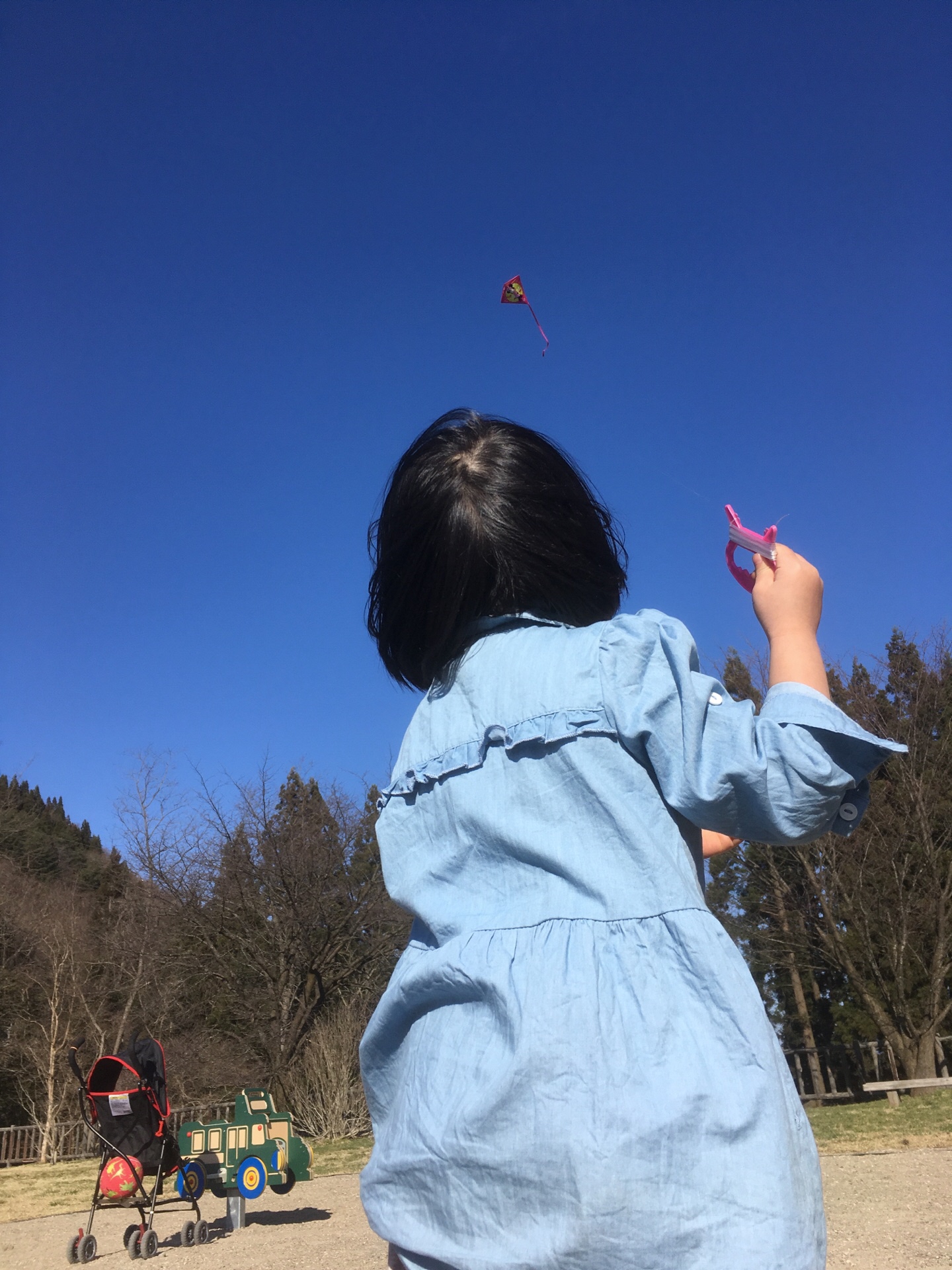 令和元年度ふれあいカードサポーターとレポート一覧 いっしょにねっと 令和元年度ふれあいカードサポーターとレポート一覧 いっしょにねっと