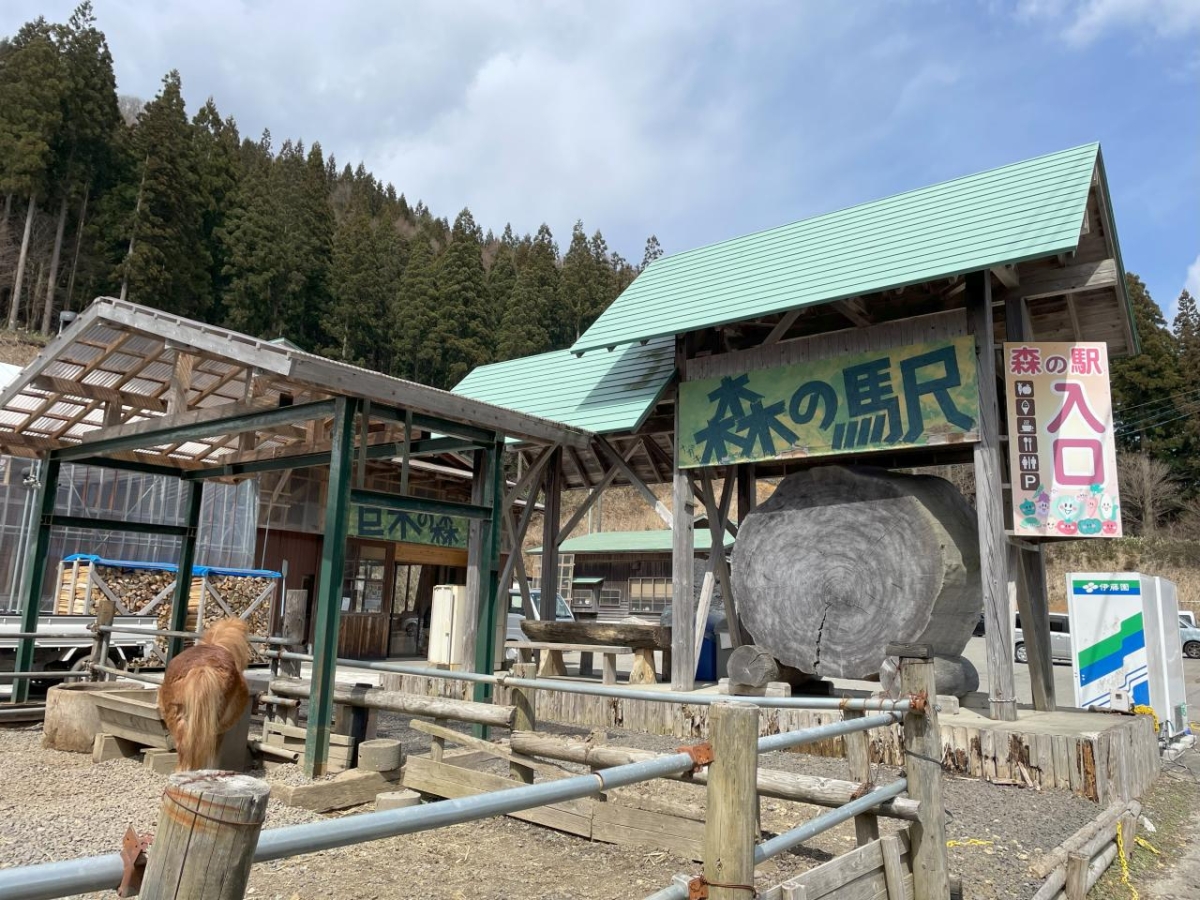 店舗画像：森の駅