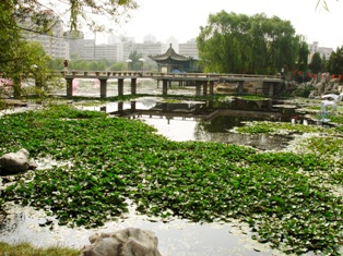 中国の時代劇に出てきそうな小西湖公園