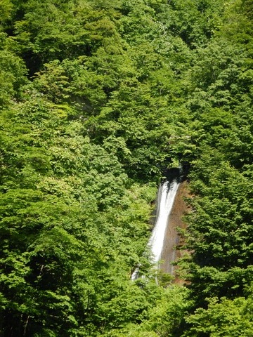 岩瀬川渓流（いわせがわけいりゅう）大館市