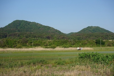 薬師山（やくしさん）八峰町