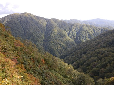 泊岳（とまりだけ）