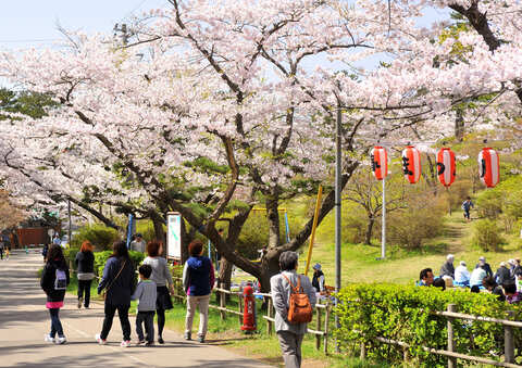 能代公園