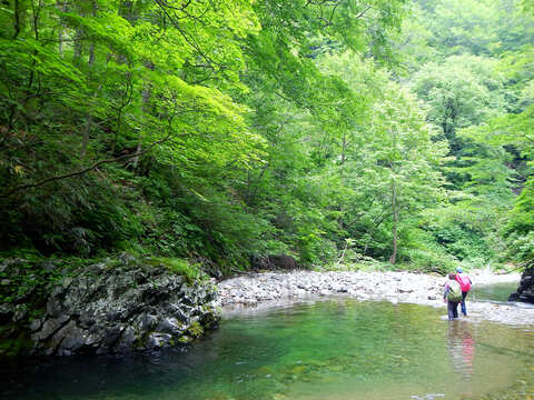 粕毛川（かすげがわ）藤里町