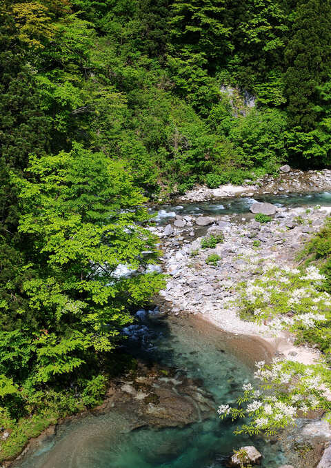 藤琴川（ふじことがわ）藤里町